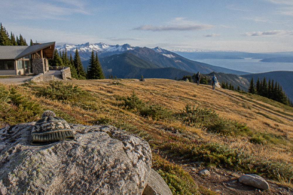 Open subalpine meadows on a high ridge with distant snowcapped peaks under a clear sky