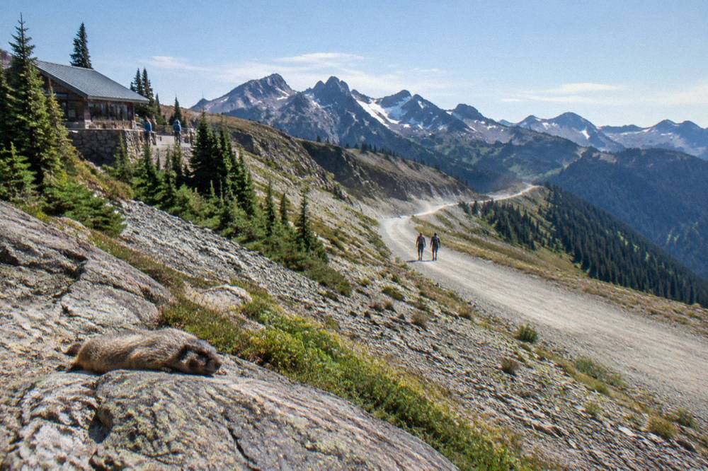 A narrow gravel road crossing open alpine slopes with mountains rising in the distance