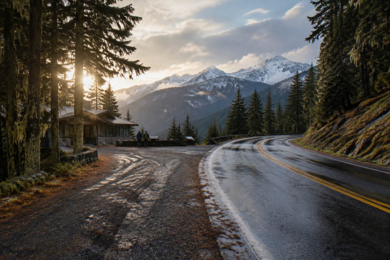 A quiet forest road winding through tall evergreens toward mountains in Olympic National Park