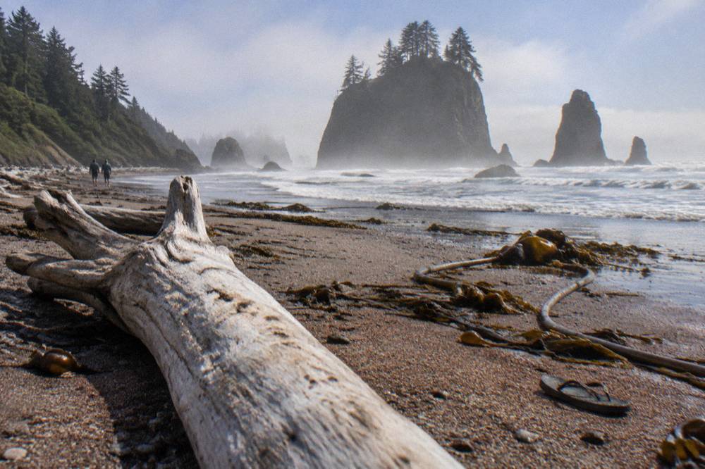 Tall sea stacks rising from the surf beside a driftwood log on a misty Pacific beach