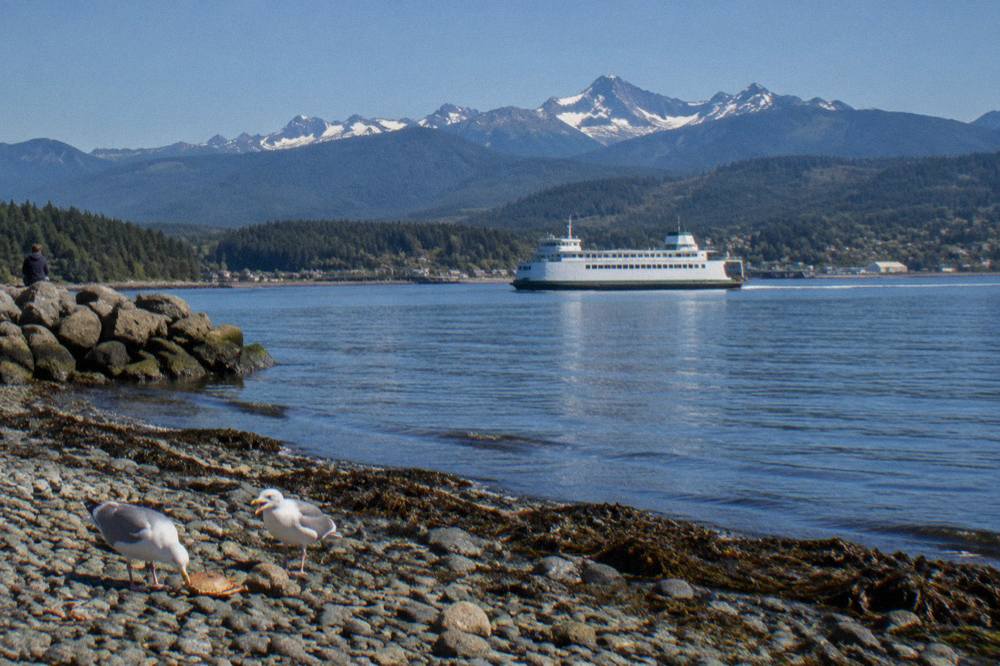 A Washington State ferry crossing calm water with forested islands behind it.