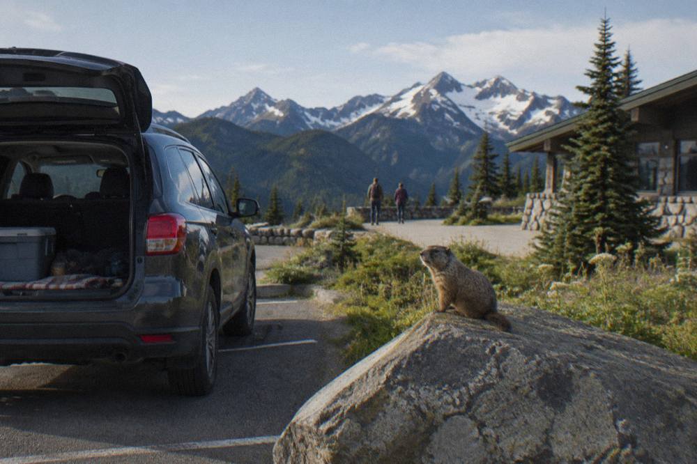 Van parked at a scenic overlook above mountains and forest