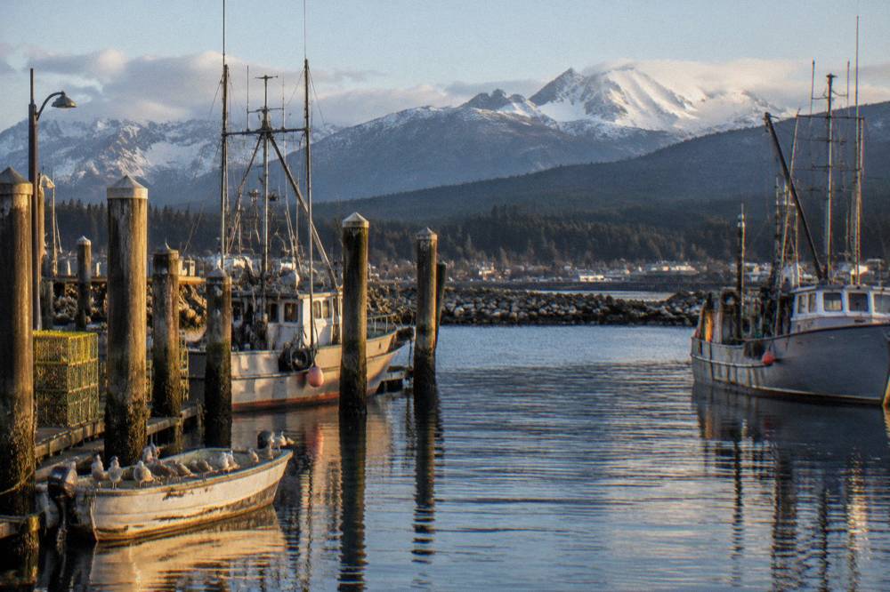 A harbor town waterfront with moored boats and forested mountains rising behind it
