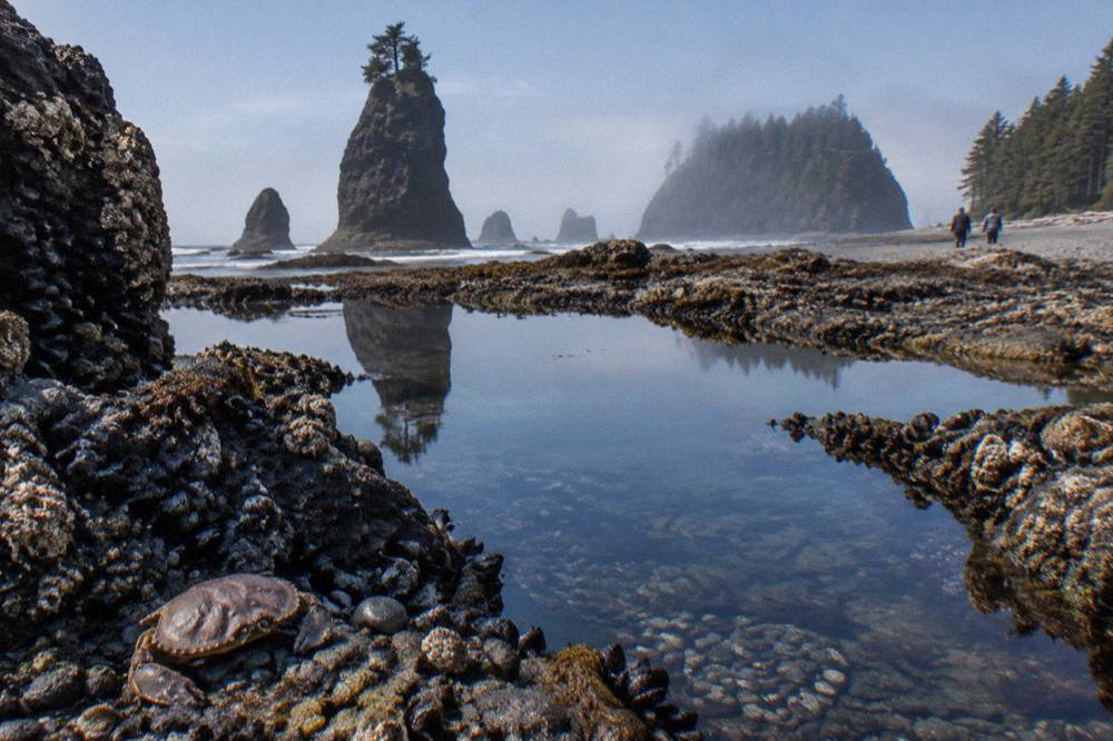 Tide pools reflecting sea stacks on a rocky Pacific shoreline at low tide