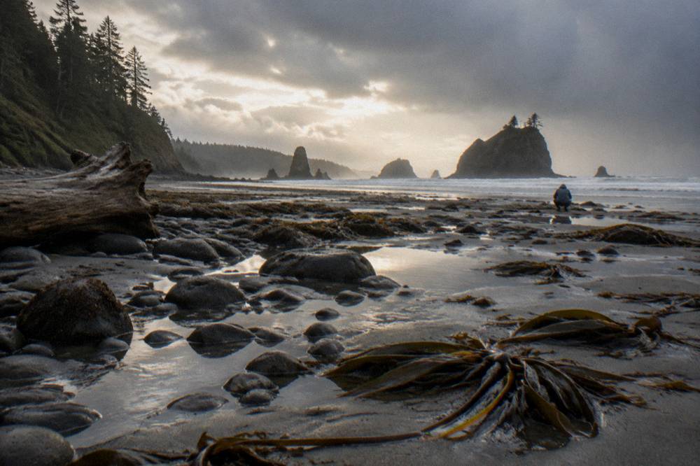 Sea stacks and tide pools along a wild Pacific coast beach at low tide
