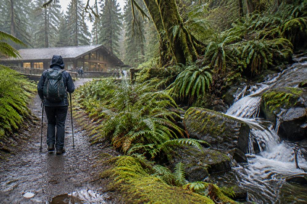 A hiker with trekking poles pausing on a forest trail beside a rushing creek