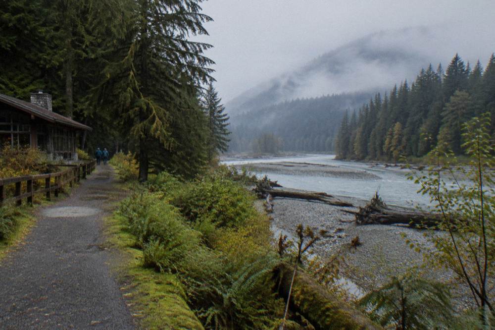 A green rainforest trail beside a wide glacial river with drifting mist