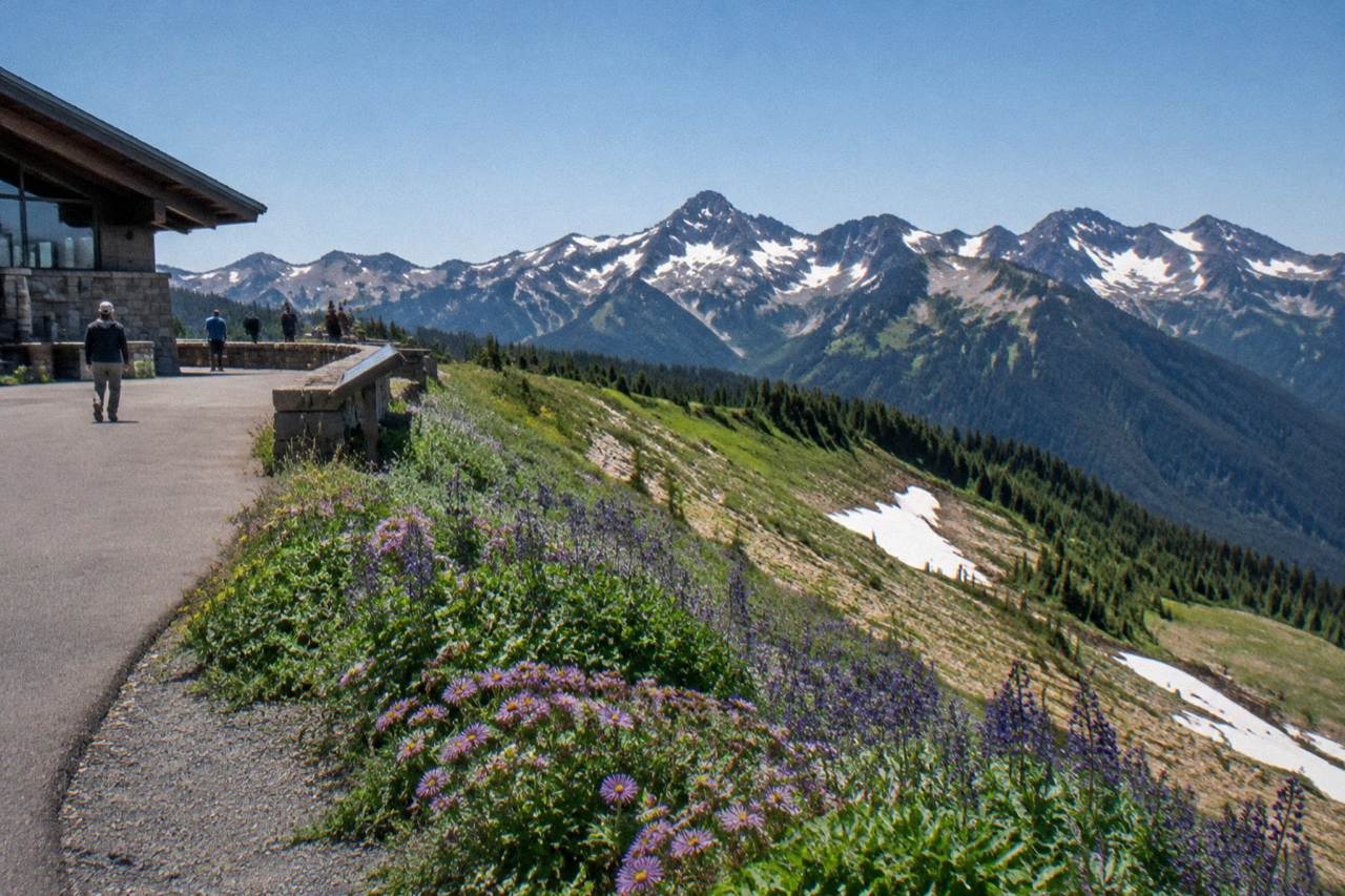 Wildflower meadows and snow-capped peaks along a mountain ridge under a clear blue sky