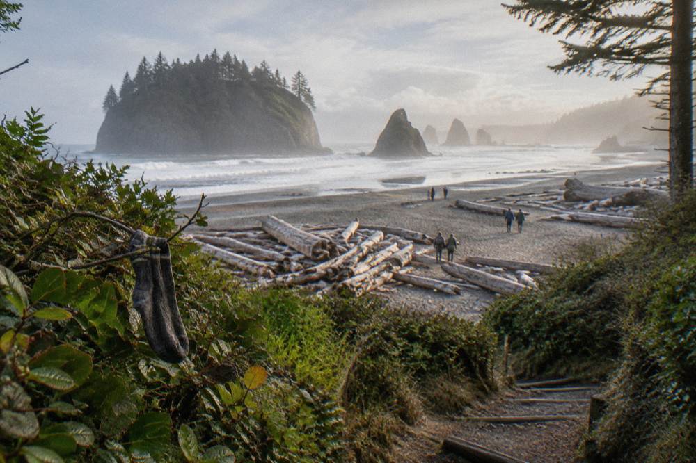 Sea stacks rising from a misty Pacific beach with driftwood on the sand