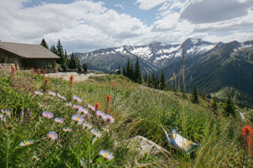 A subalpine meadow dotted with wildflowers below a snow streaked mountain ridge