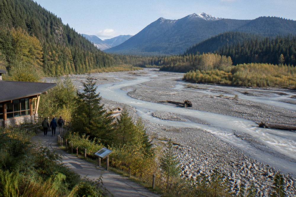 A wide gravel bar along the glacial Hoh River with forested valley walls