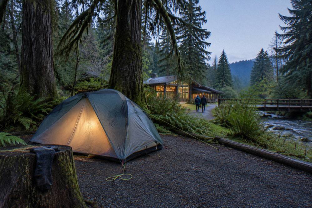 A quiet forest campground with a tent among tall mossy trees