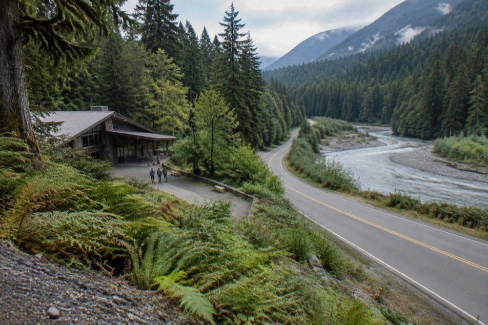 A paved forest road winding along a river through tall evergreens toward the Hoh valley