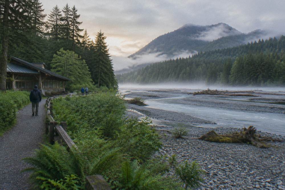 Morning mist hanging over a green rainforest valley with a river gravel bar