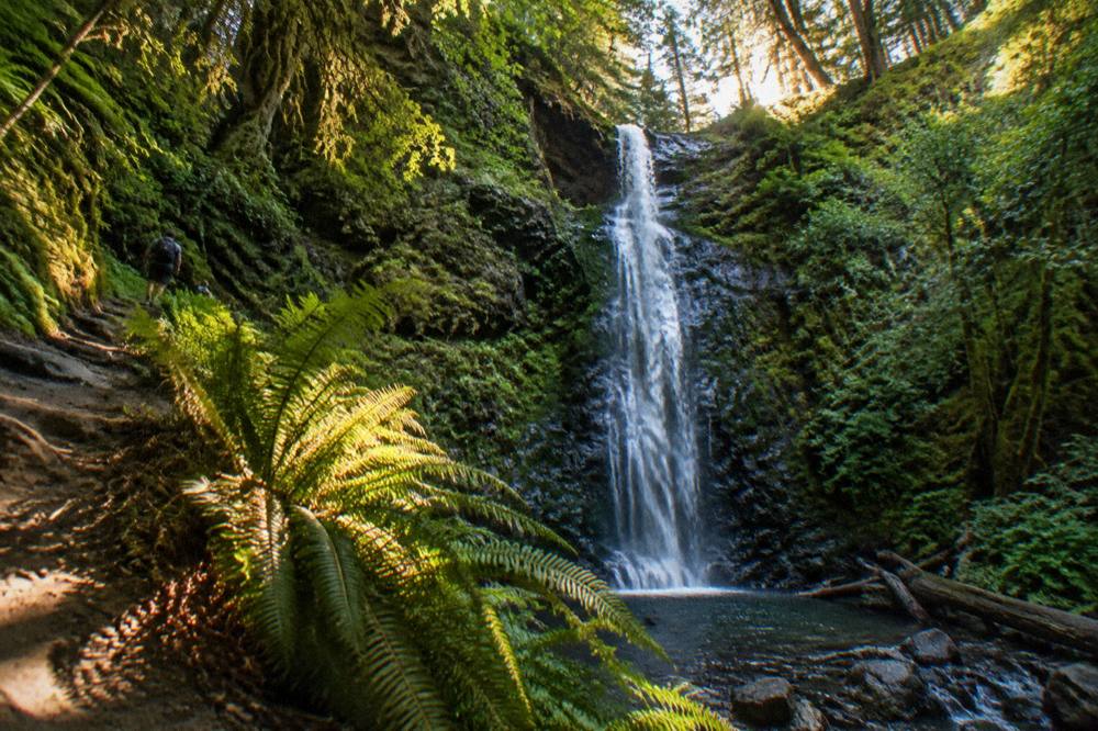 A waterfall dropping through dense green forest into a rocky pool