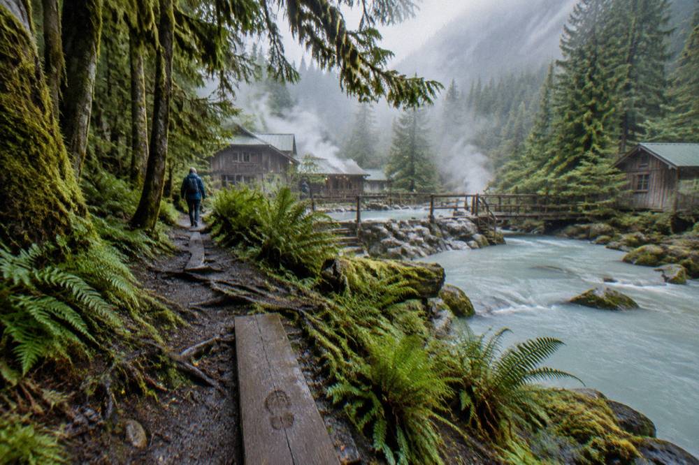 A moss-covered rainforest trail beside a glacial river