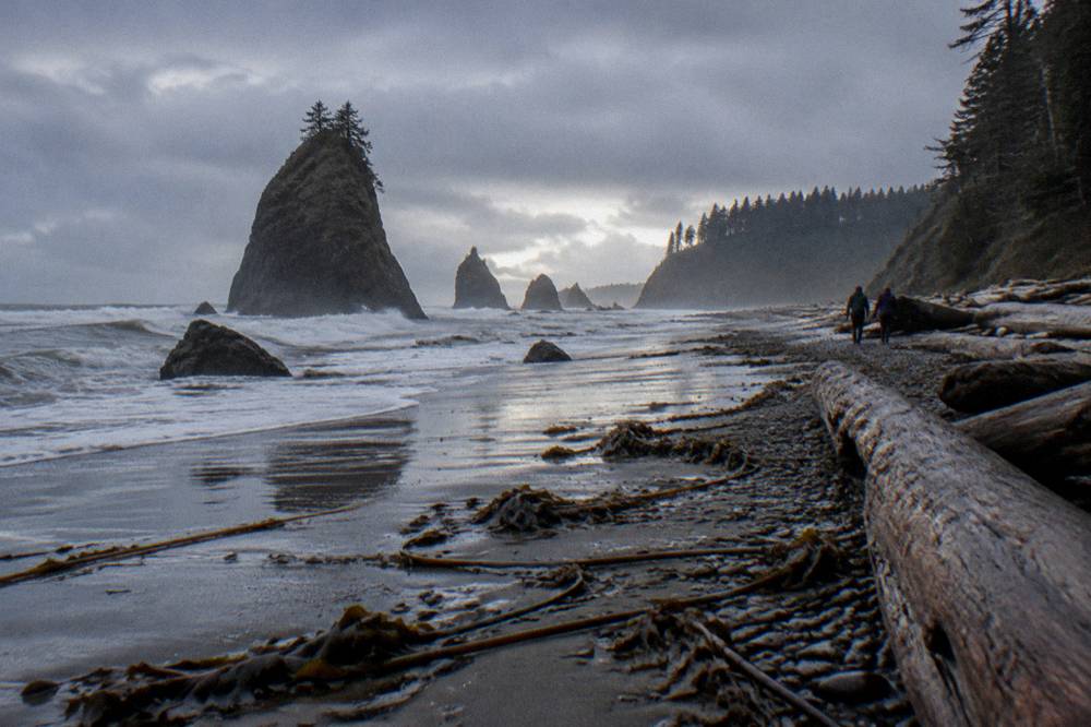 Rocky coastline with sea stacks and driftwood at low tide