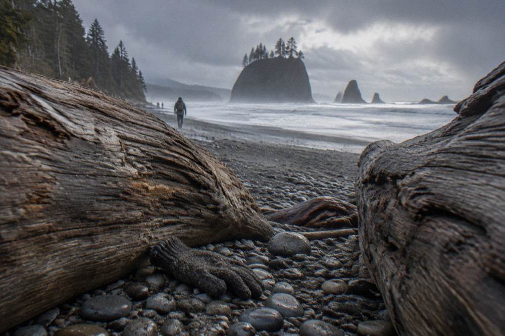 Weathered driftwood logs stacked along the high tide line of a gray-pebble beach