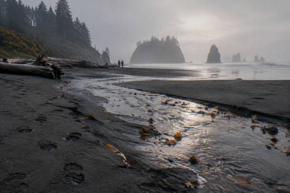 A creek crossing a dark sand beach toward sea stacks in soft fog