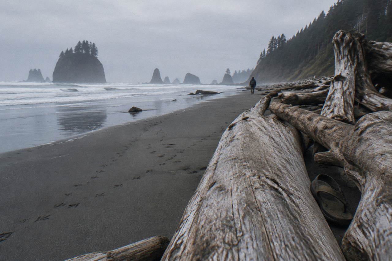 Sea stacks and driftwood on a wide Pacific coast beach under an overcast sky
