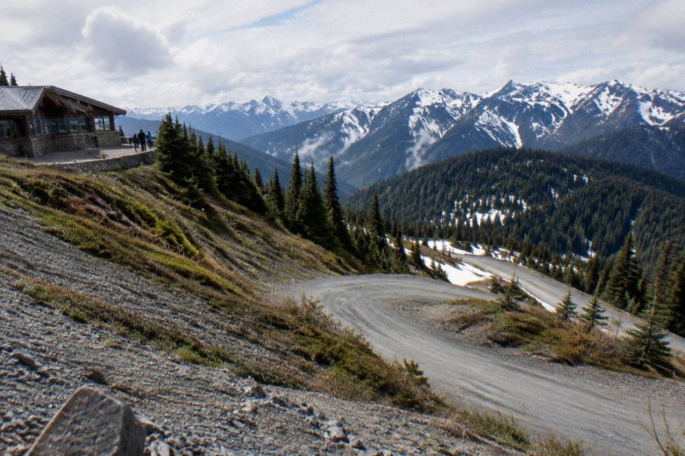 Winding mountain road above evergreen forest on the Olympic Peninsula