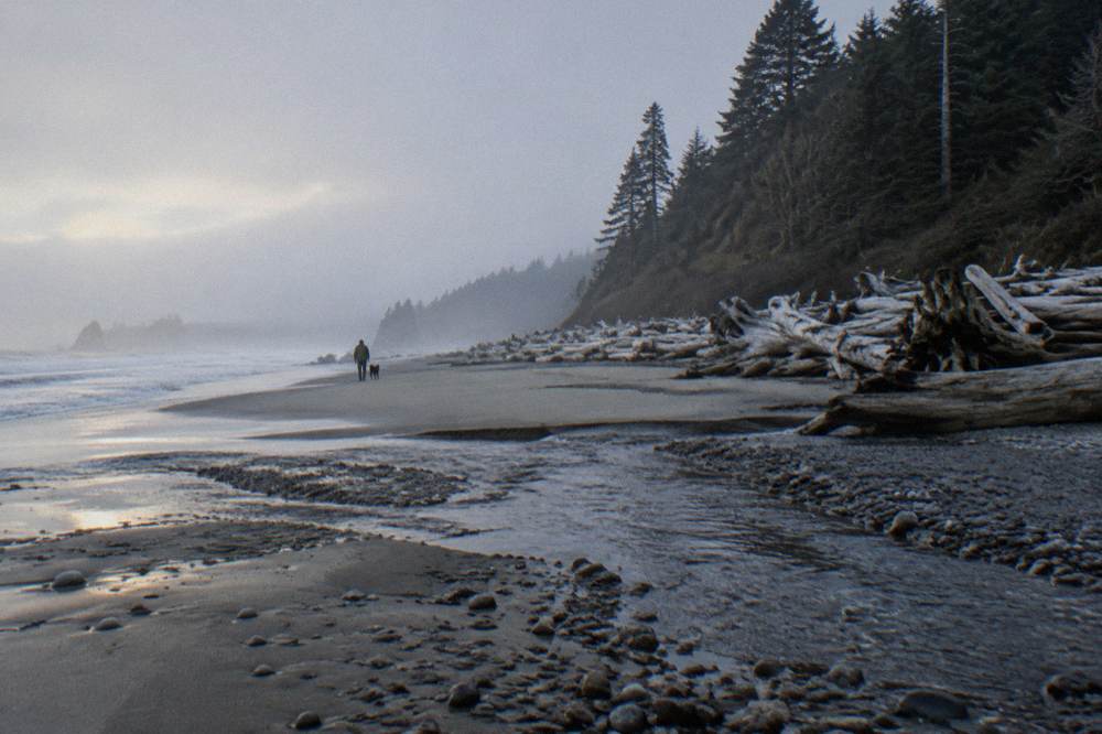 Driftwood and sea stacks on a wide Pacific Ocean beach at the Olympic coast