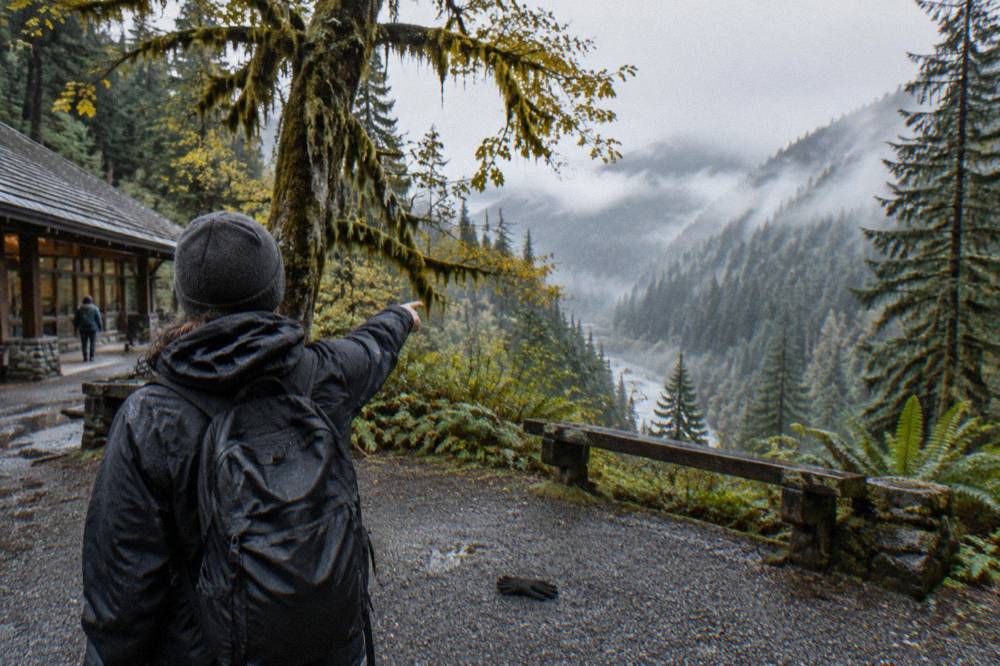 A tour guide pointing out features of a misty rainforest valley to two guests