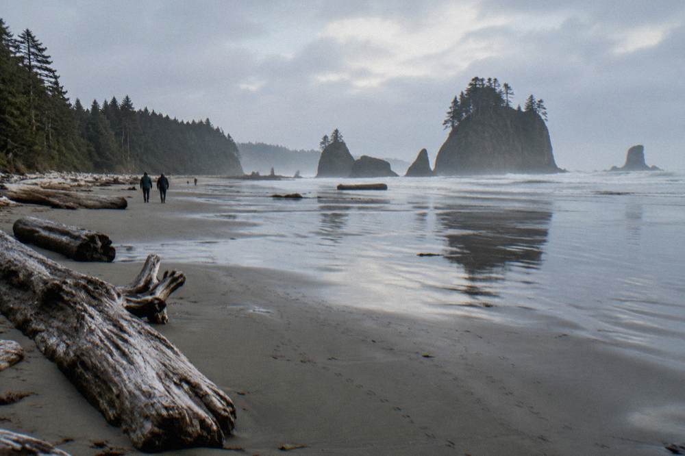 Sea stacks and driftwood on a wide sandy beach at low tide