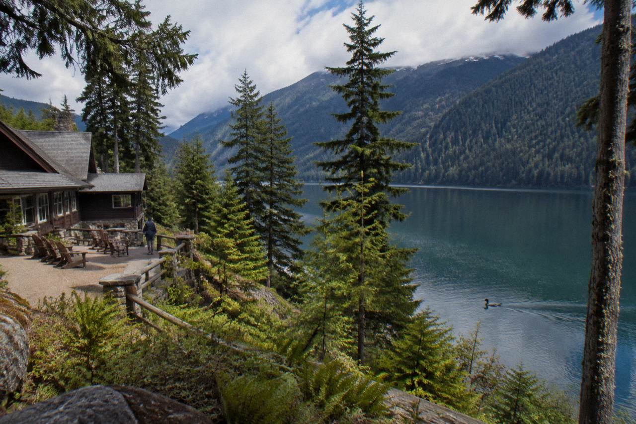 Forest ridgeline above a glacial lake in Olympic National Park under a partly cloudy sky