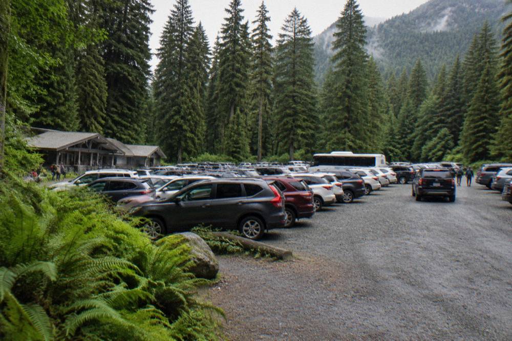 Full gravel parking lot at a rain forest trailhead surrounded by tall evergreens