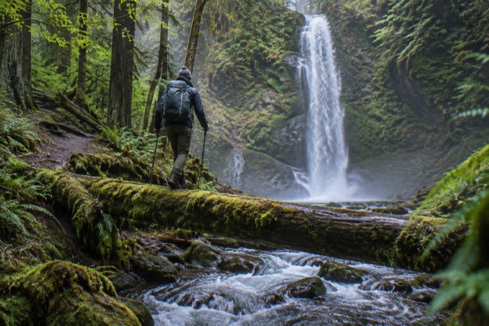 A hiker with trekking poles crossing a mossy footbridge in dense green rain forest