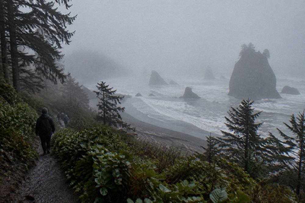 Wide view of a Pacific beach with large sea stacks in surf and dense fog over the water