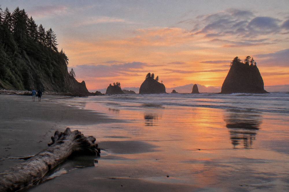 Sea stacks and wet sand reflecting an evening sky on an empty Pacific beach