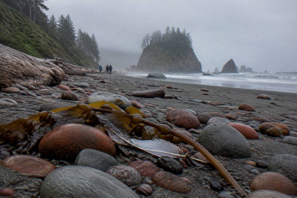 Round beach stones in bands on dark sand below fog-covered headlands