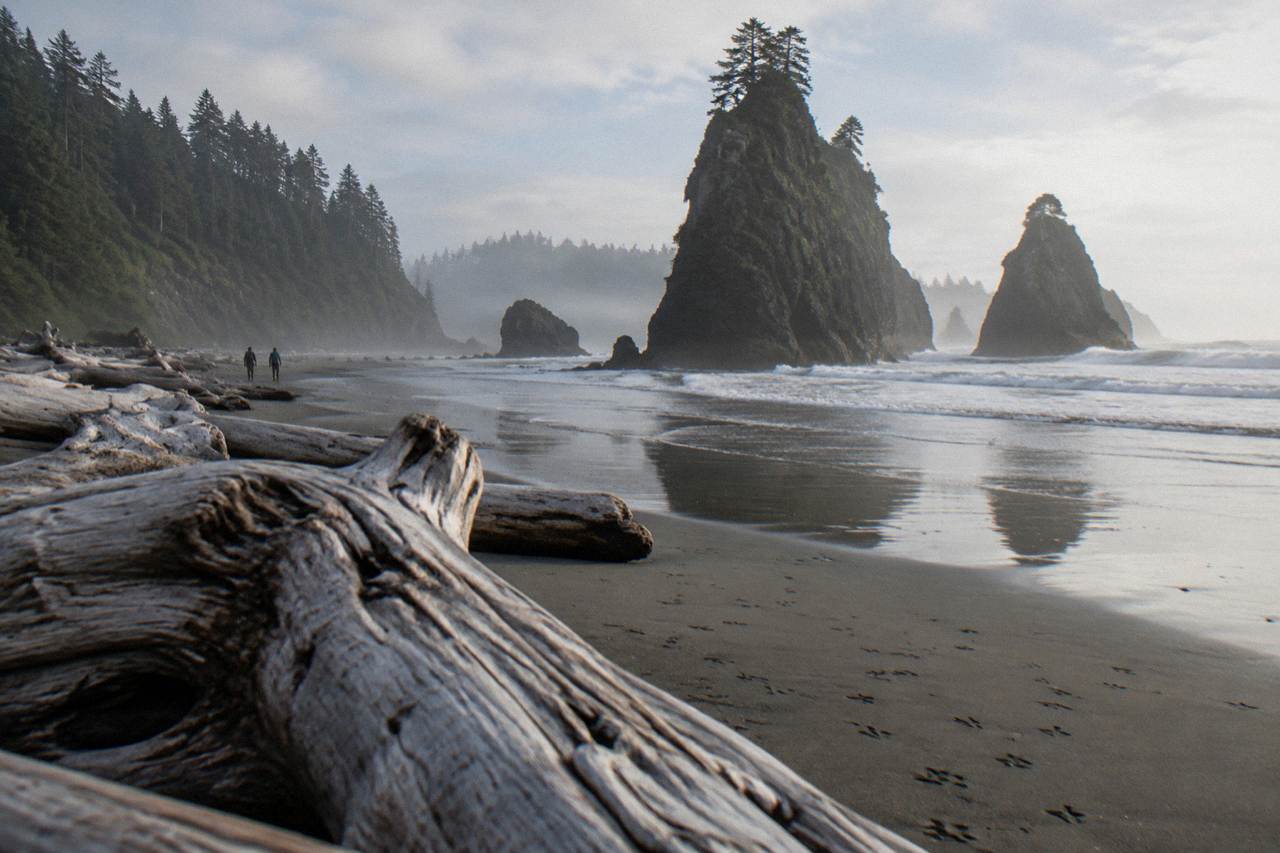 Sea stacks rising from dark sand along a misty Pacific shoreline with driftwood scattered across the beach