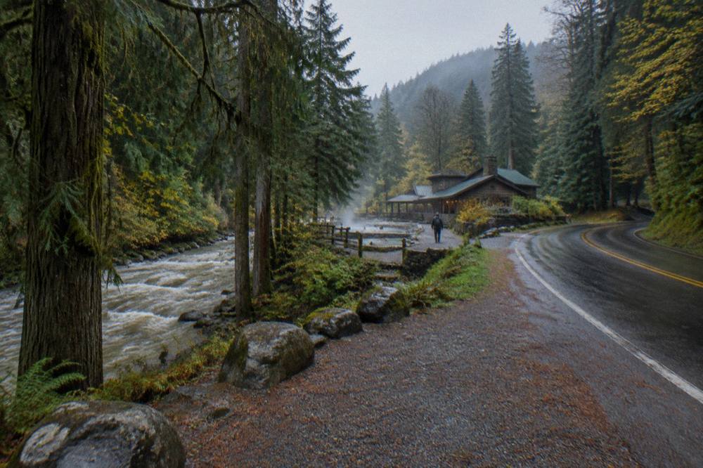 A paved forest road winding through tall evergreens beside a rushing river