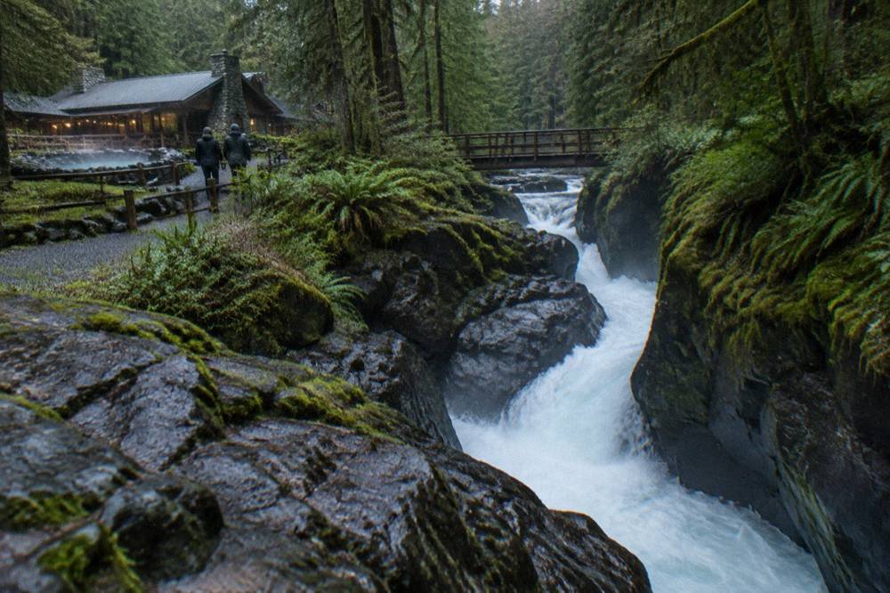 A waterfall plunging through dense mossy forest into a narrow rocky gorge