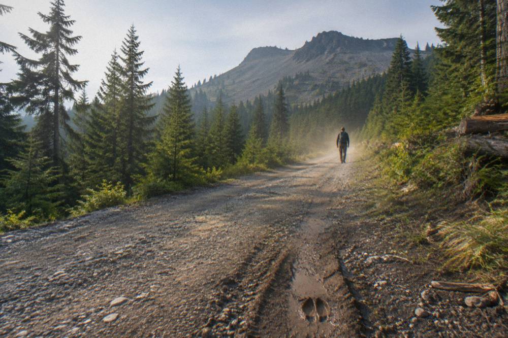 A mountain road winding toward a rocky ridge above evergreen forest