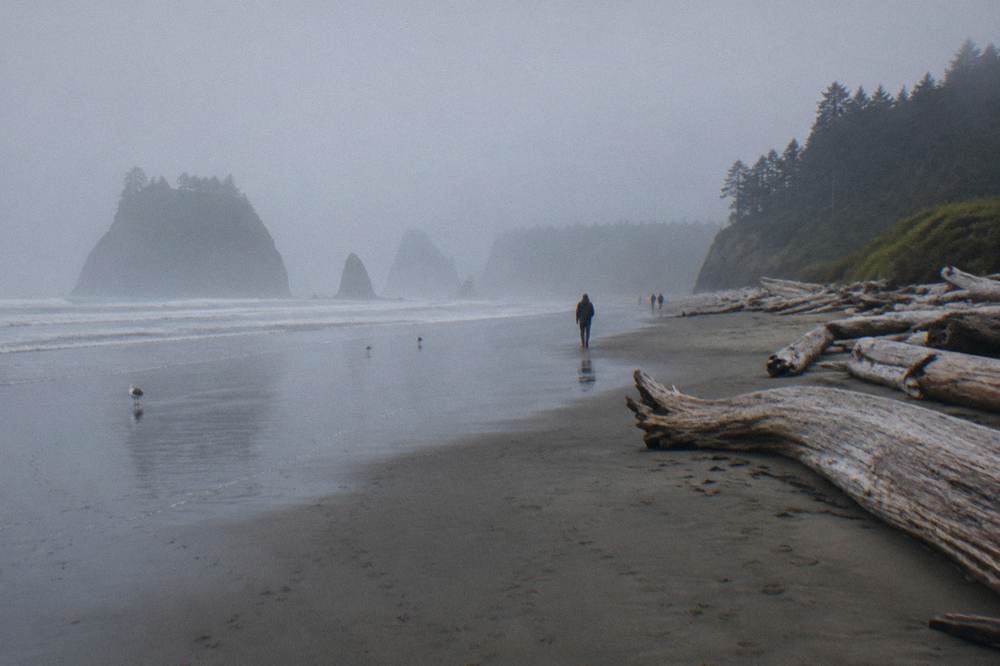 Foggy Pacific coastline with sea stacks and driftwood at a wide sandy beach